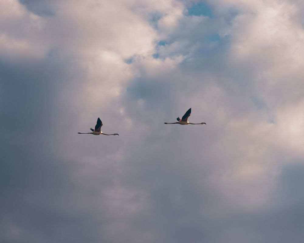 Photograph by Mazen Abdennadher