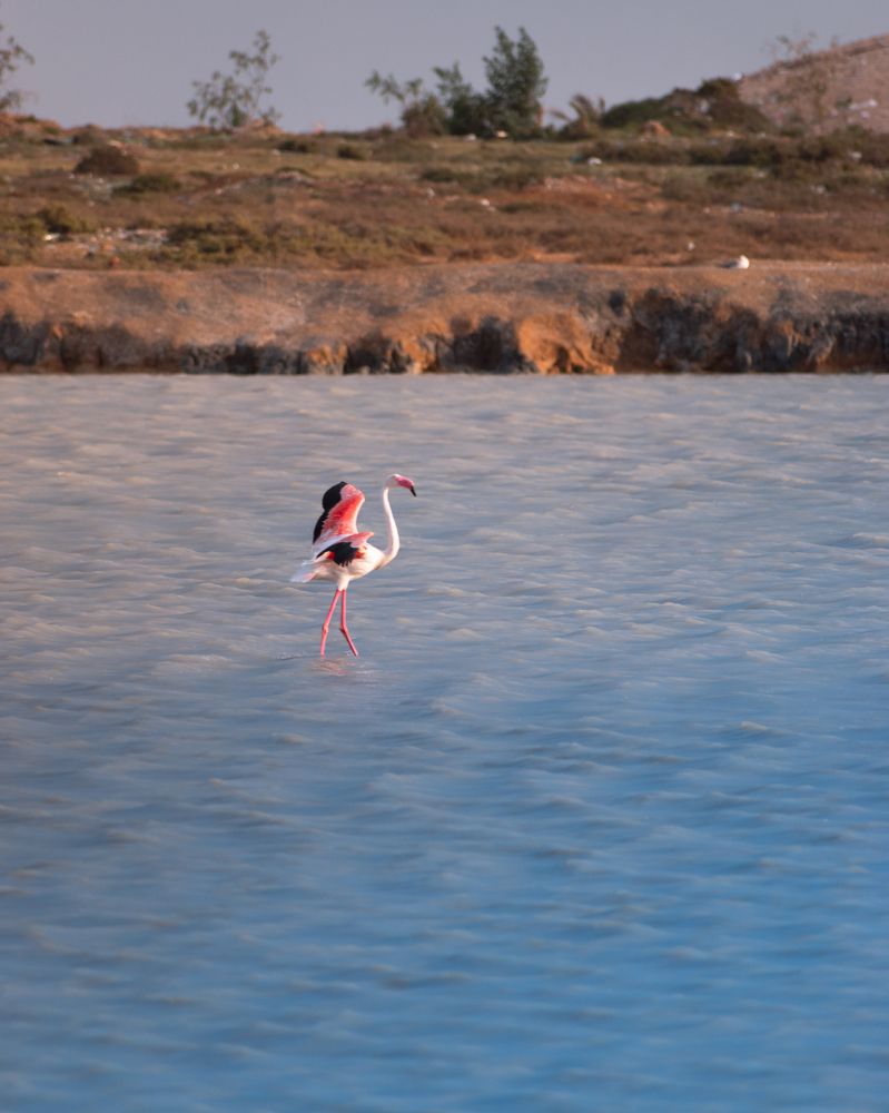 Photograph by Mazen Abdennadher