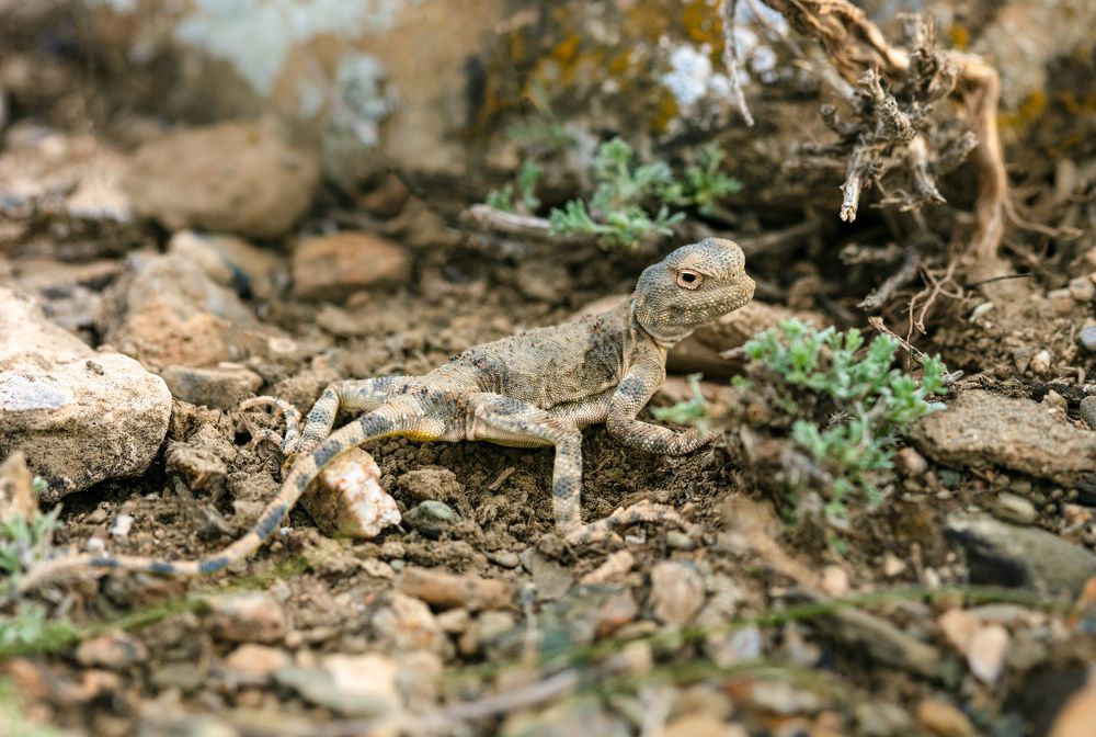 Фотография автора Татьяна Меньшикова