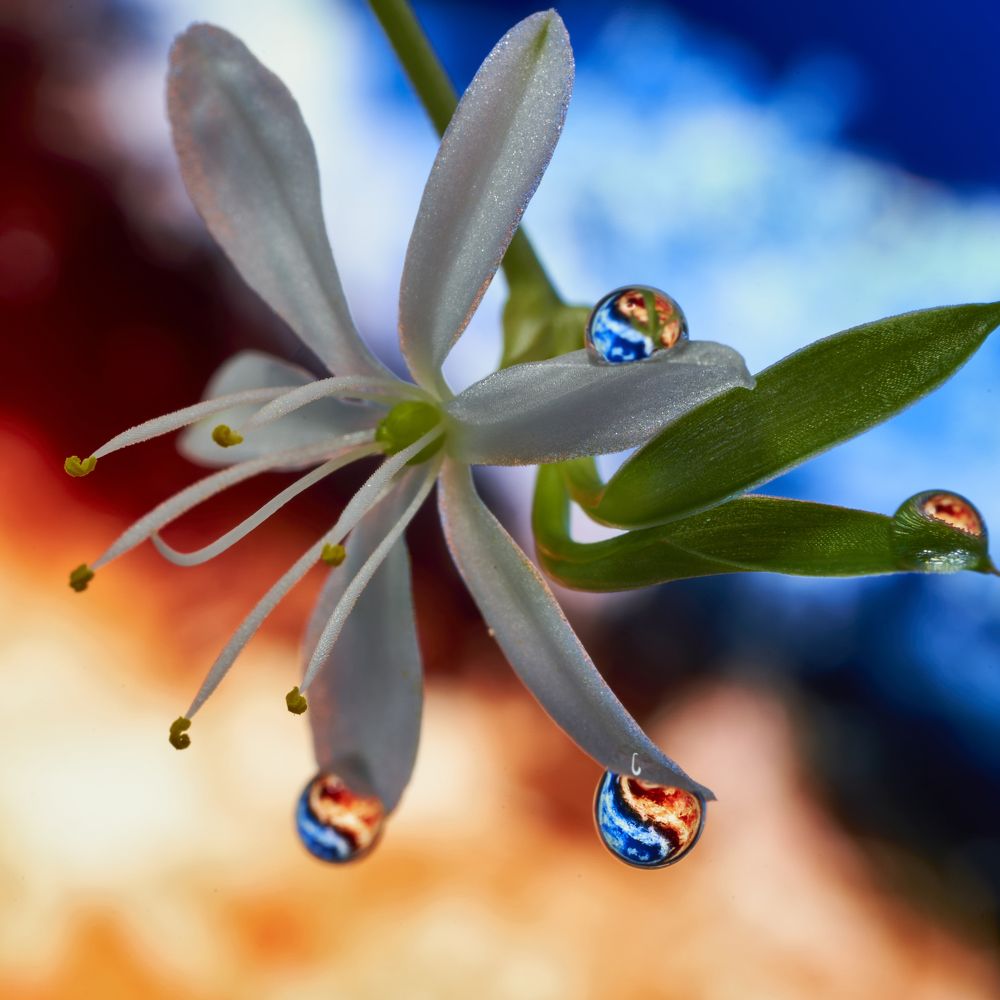 Photograph by Руфат Лажанский