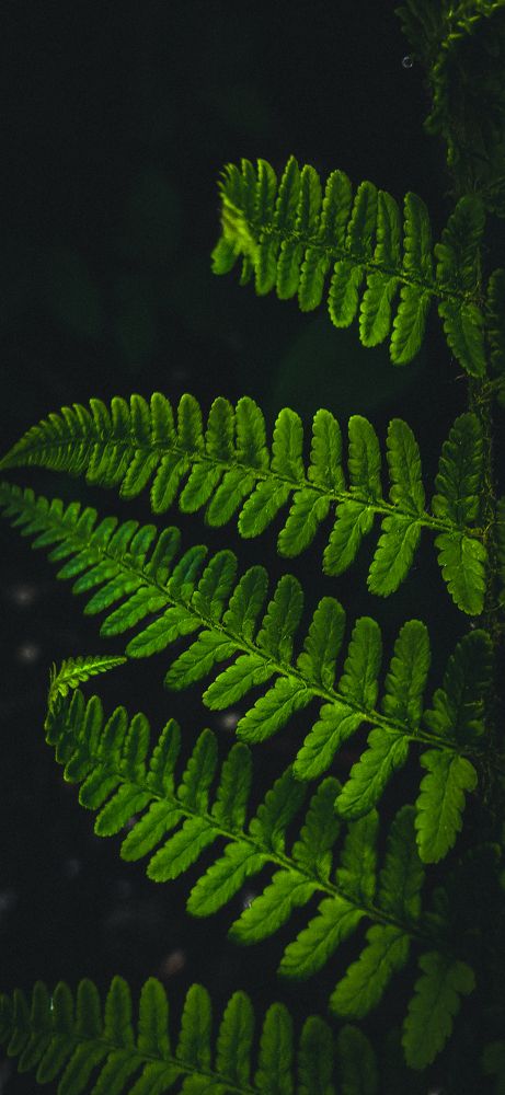 Photograph by Кристина Полякова