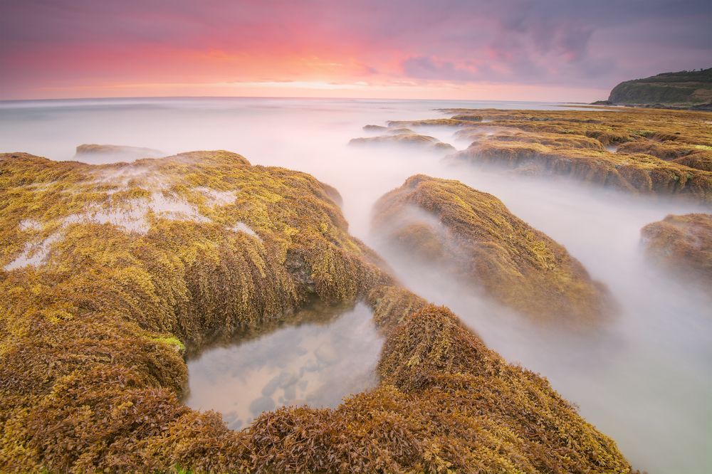 Фотография автора DAO CANH