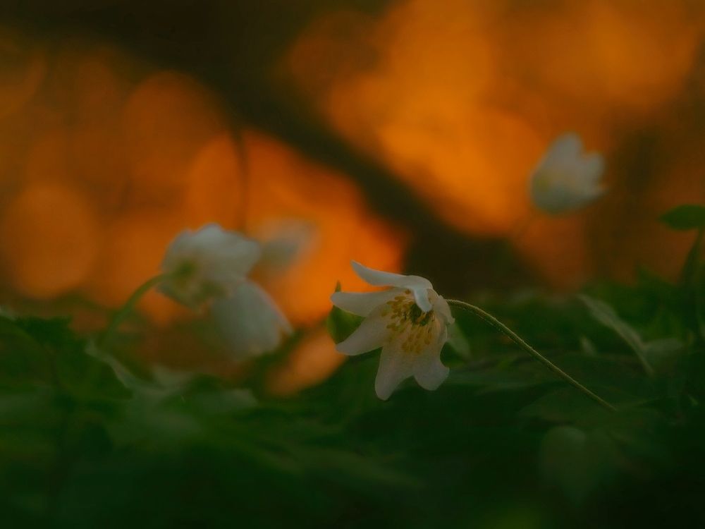 Photograph by Владимир