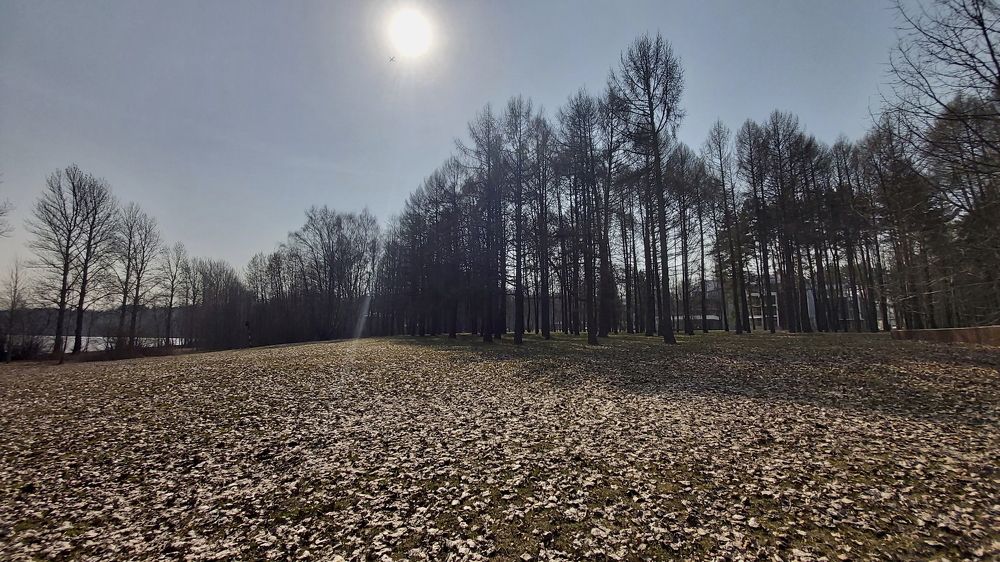 Photograph by Сергей Плужник