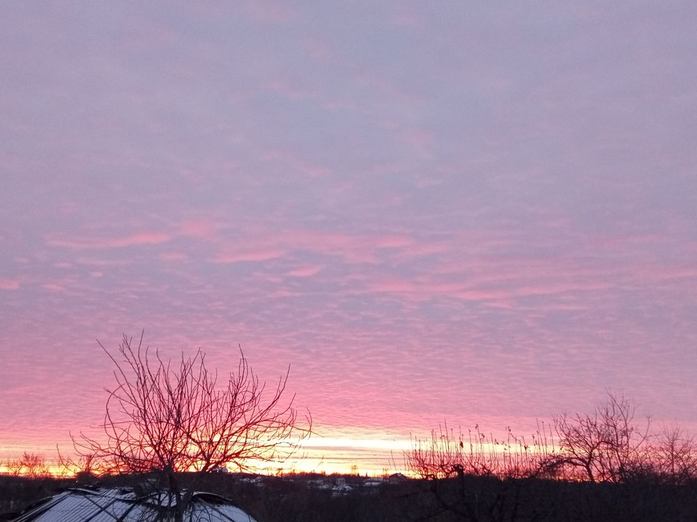 Photo #9134002