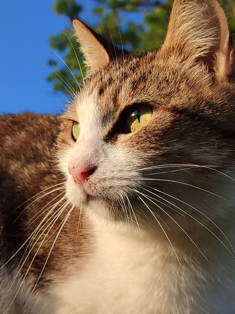 Photograph by Татьяна Долгушева