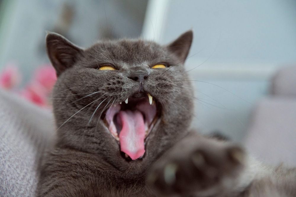 Photograph by Алёна Чаусова