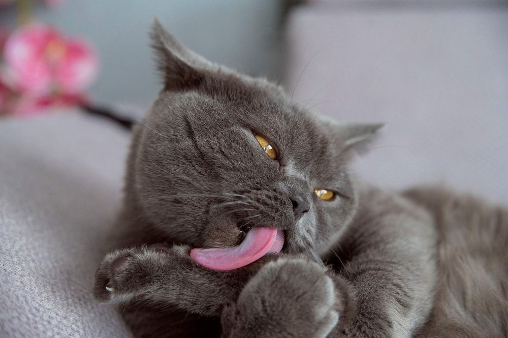 Photograph by Алёна Чаусова