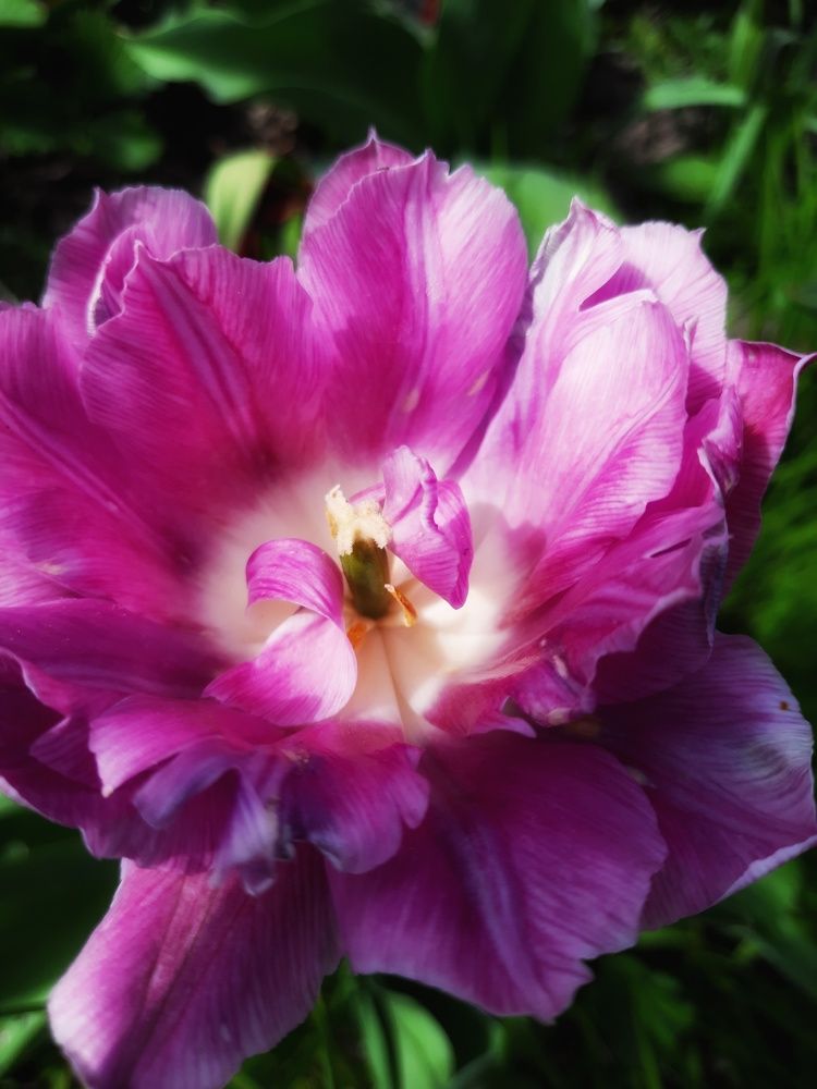 Photograph by Мария Андреева