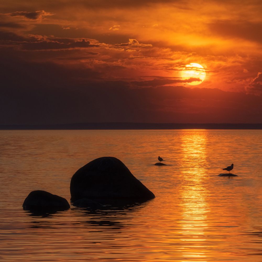 Photograph by Евгений Волосков