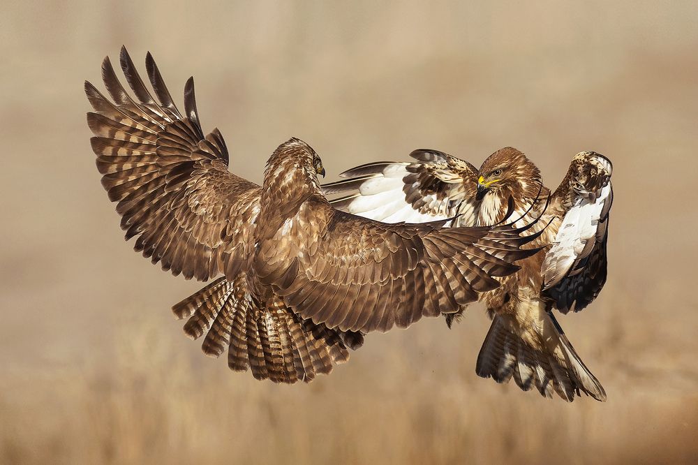 Photograph by Petar Bogdanov