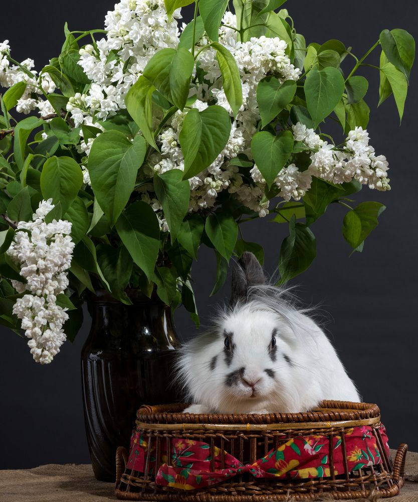 Photograph by Римма Волченко