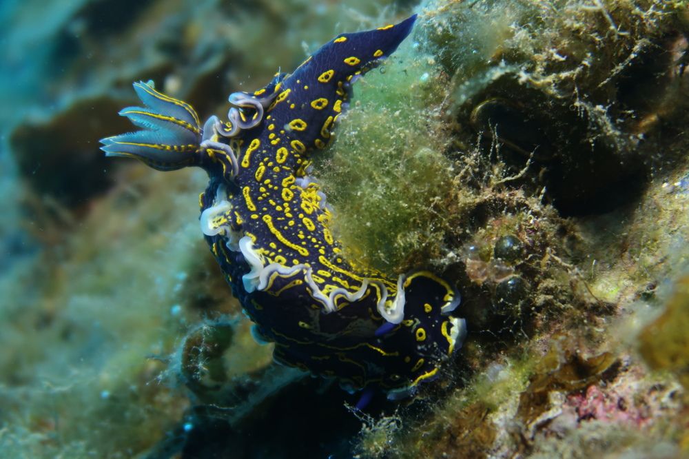 Photograph by KONSTANTINOS EFSTATHIOU