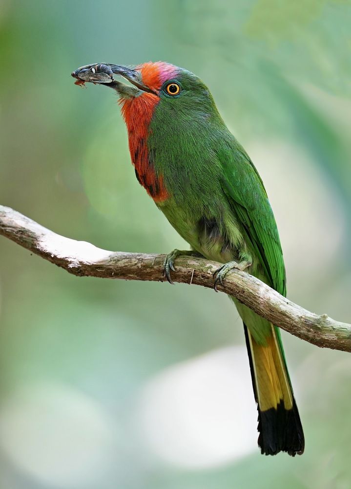 Photograph by Kan Chung Wong