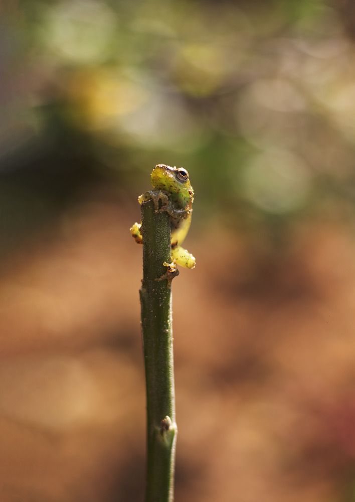 Photograph by Ayorinde Ogundele