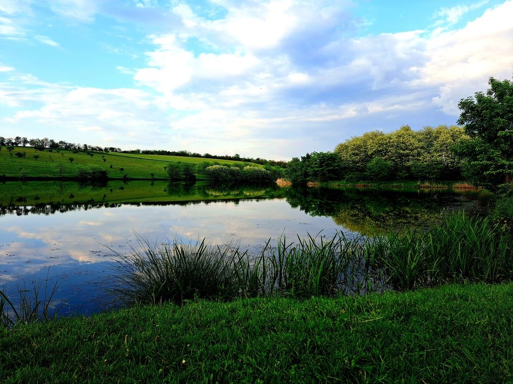 Photograph by Anna Volodina