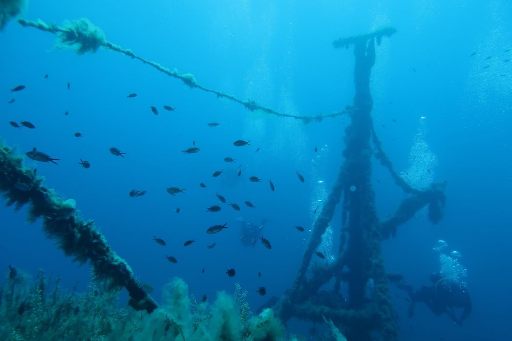 Photograph by KONSTANTINOS EFSTATHIOU