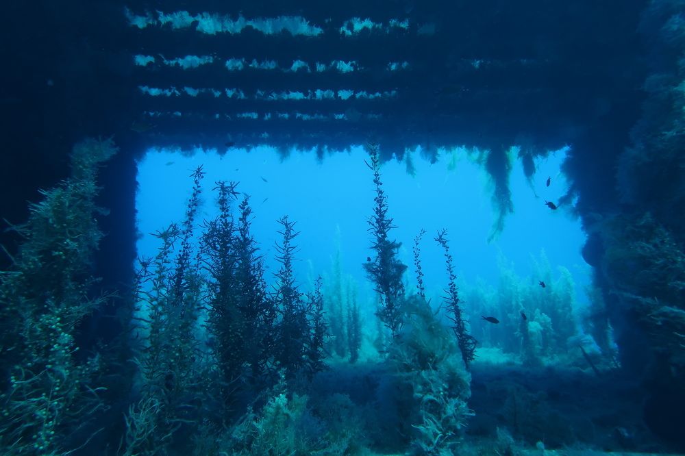 Photograph by KONSTANTINOS EFSTATHIOU