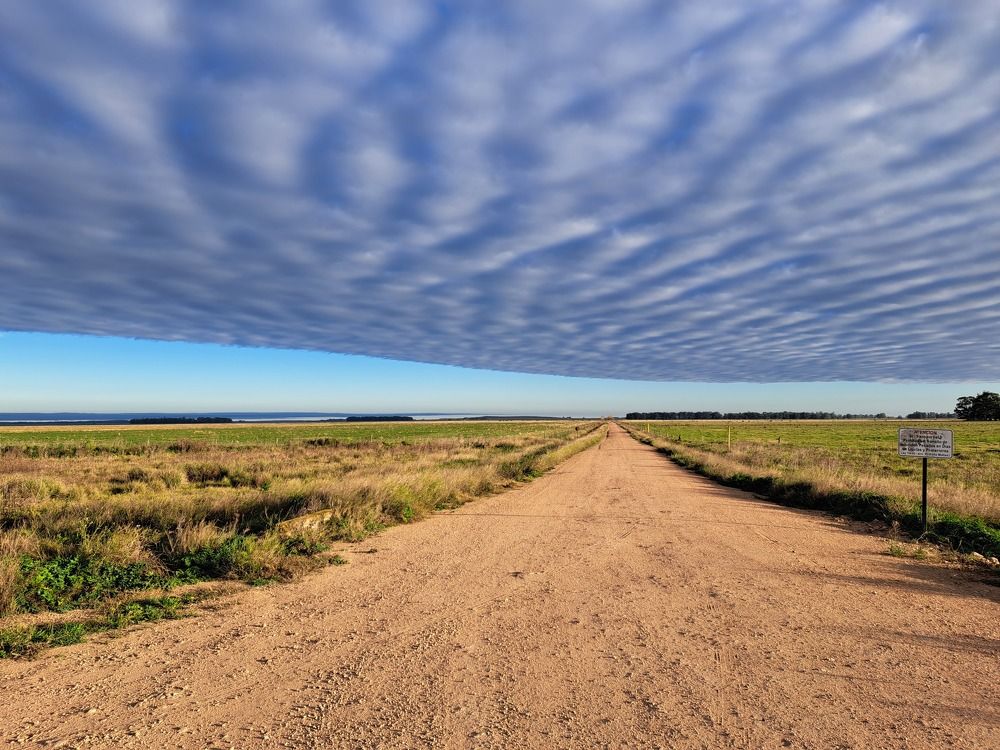 Фотография автора gustavo pecelis