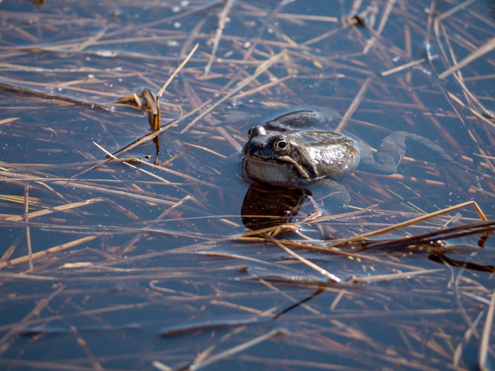 Photograph by Анна Шейко