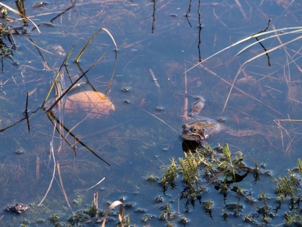 Photograph by Анна Шейко