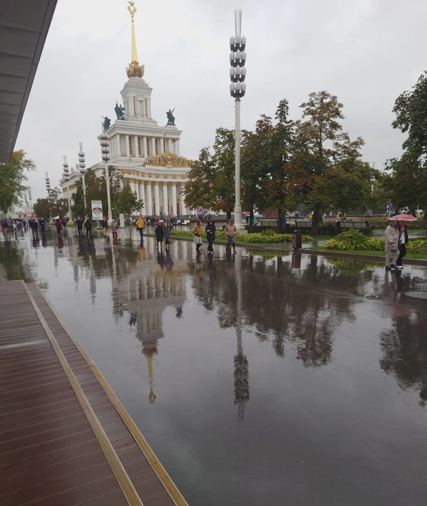 Отражения