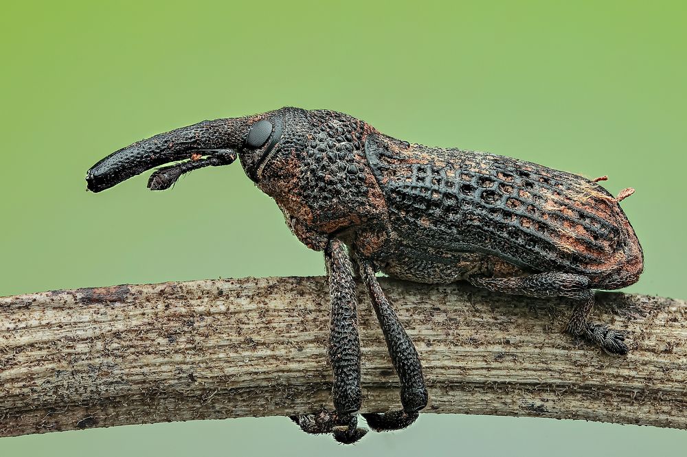 Photograph by Jacob Ng