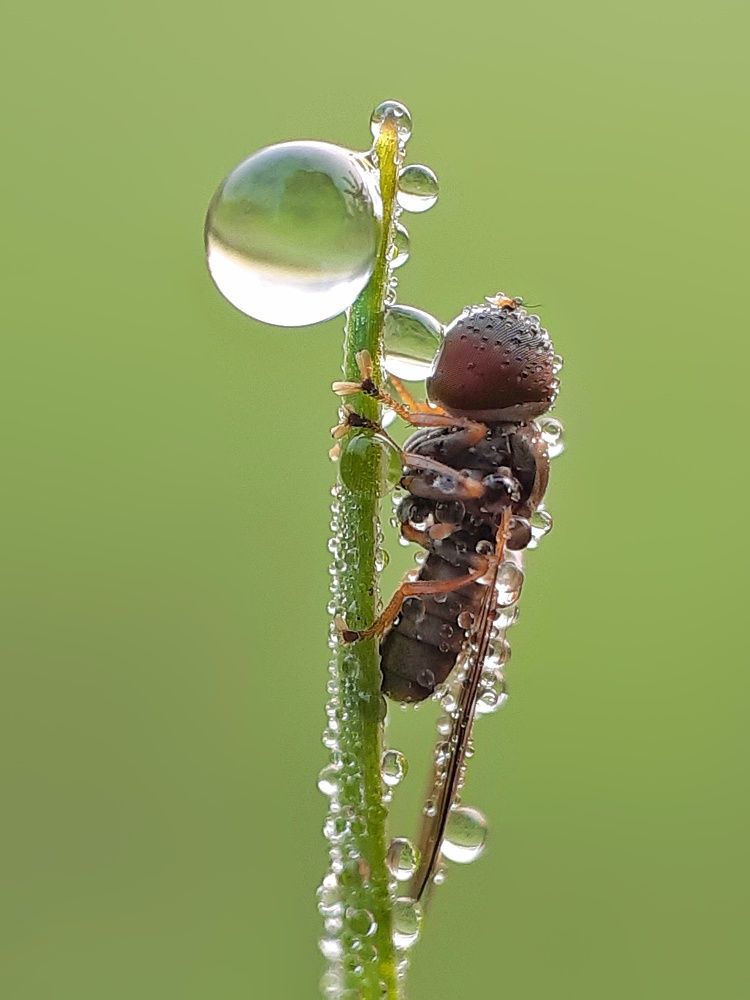 Photograph by TAPAS GHOSH