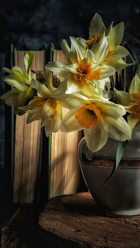 Photograph by Александра