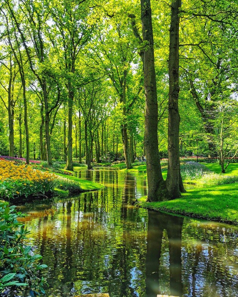 Photograph by Михаил Жарский