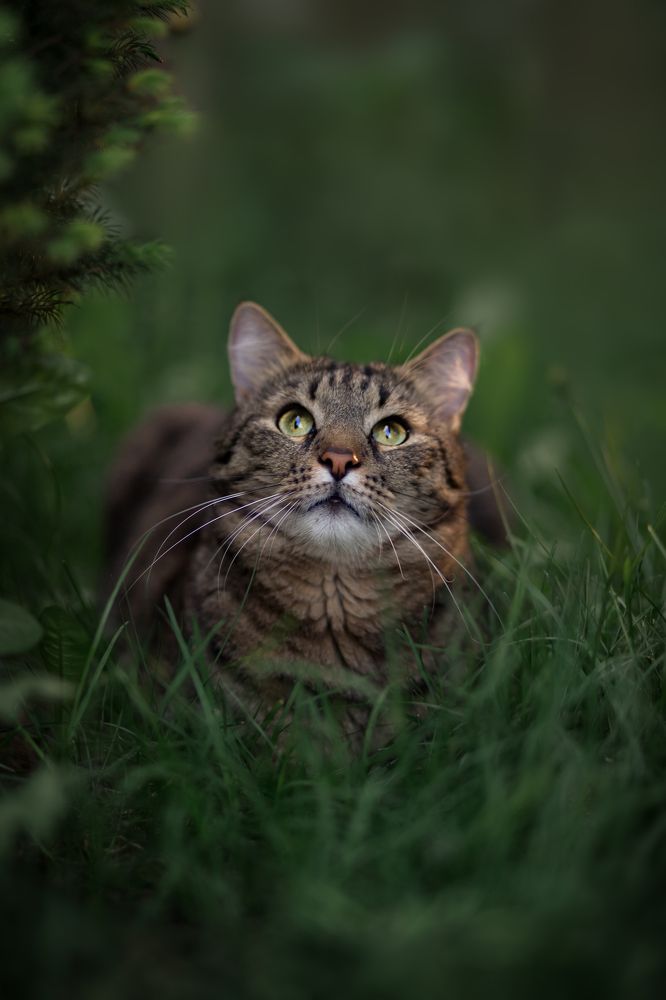 Photograph by Ольга Щерба