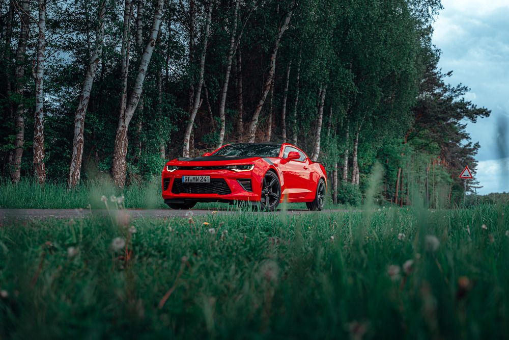 Photograph by Panga Petru