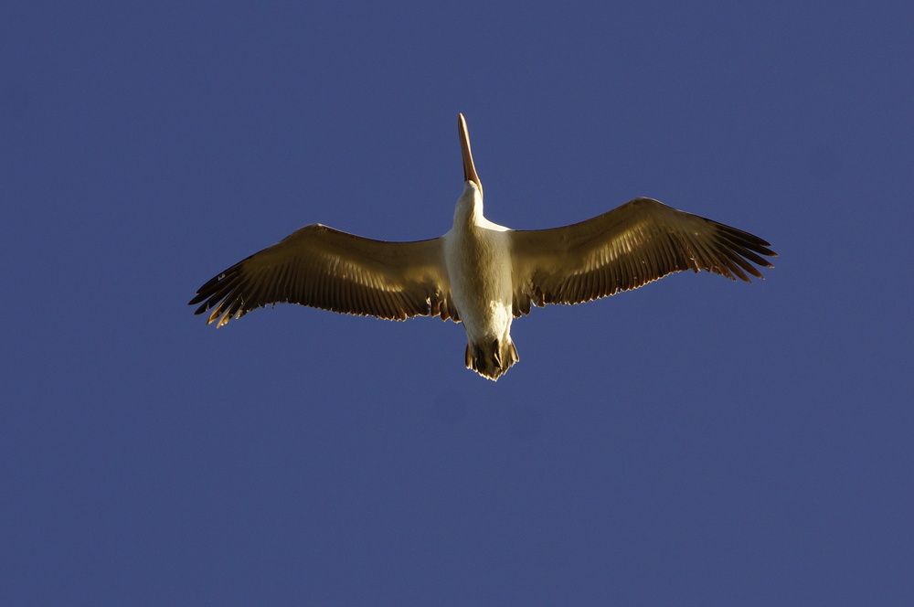 Photograph by Алексей Миронов