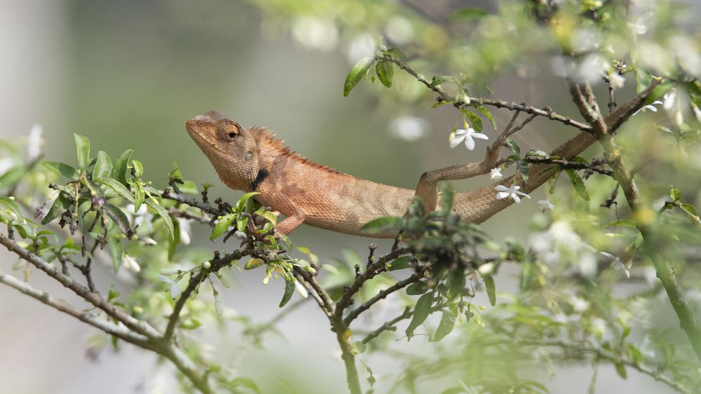 Photograph by TRAN HAI DUONG