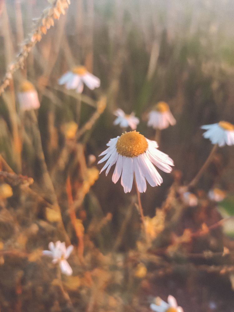 Photograph by Нестерова Карина