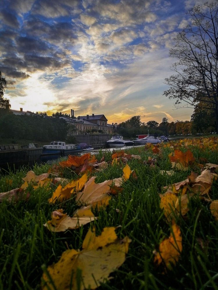 Photograph by Anna Samoilova