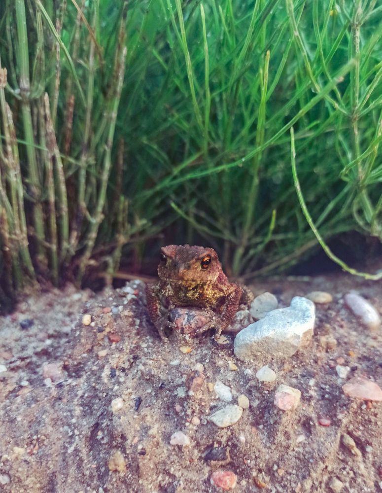 Photograph by Нестерова Карина