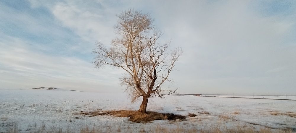 Photograph by Игнатова Марина