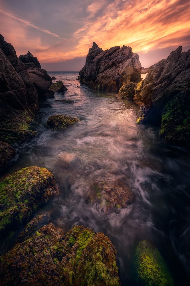 Фотография автора Gestal Marcos