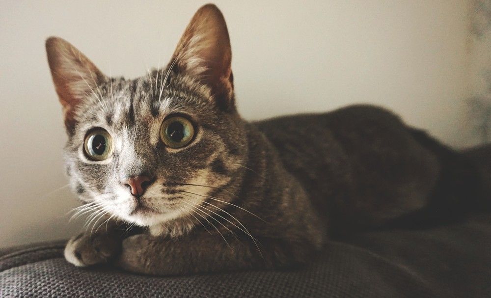 Photograph by Дмитрий Соколов