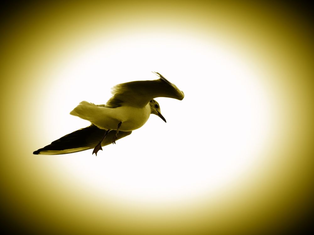 Photograph by Сергей Борисов