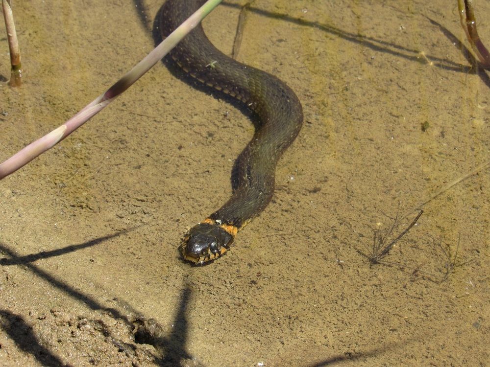 Photograph by Денис Веску