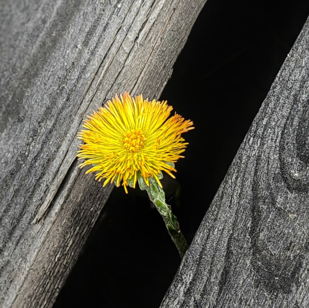 Photograph by Юрий Полушин