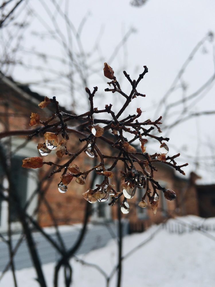 Photograph by Ирина Трембач