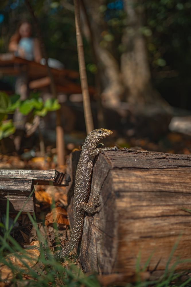 Photograph by Alexey Sapozhnikov