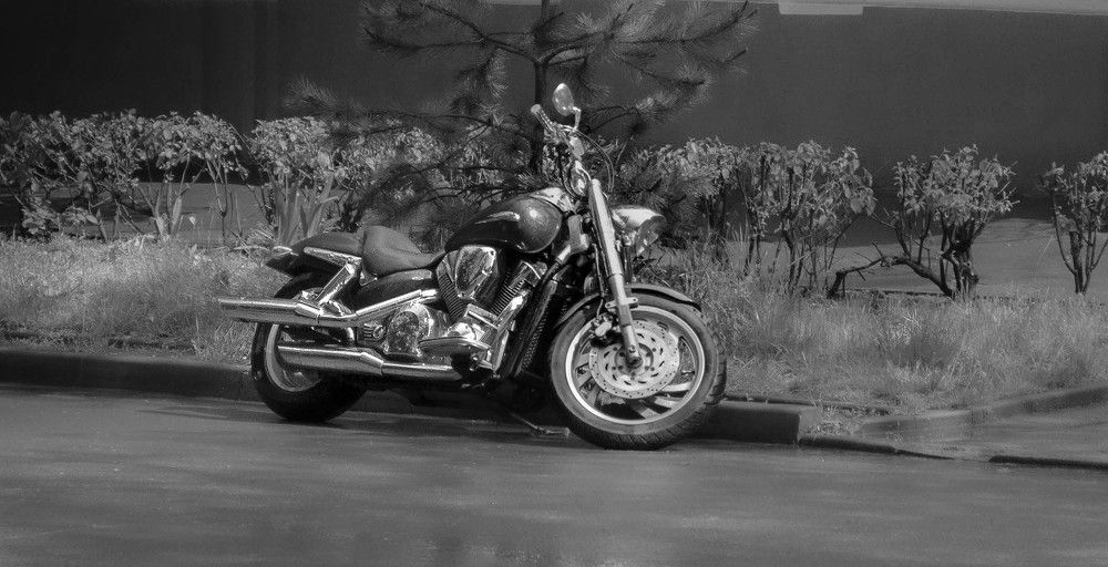 Photograph by Алекскандр Фатеев