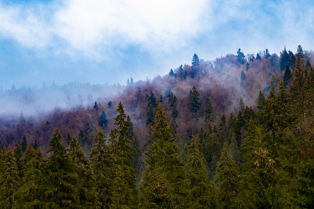 Photograph by Robert Istodor-Iocsa