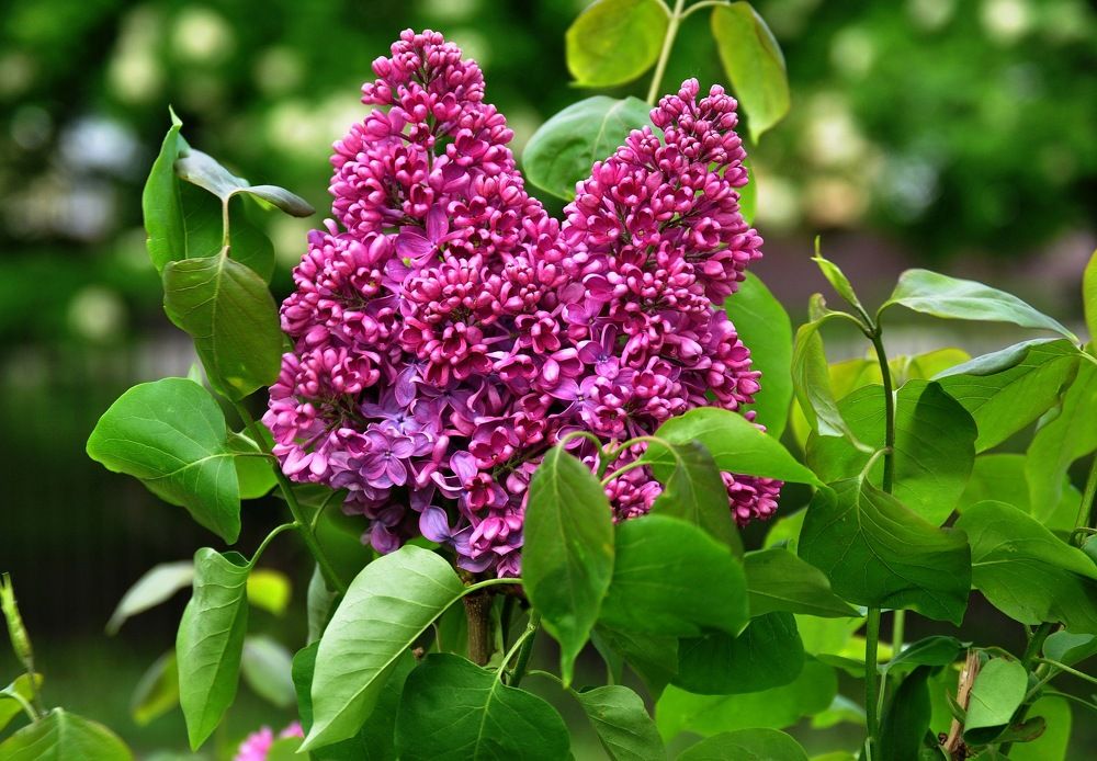 Photograph by Matarykin Alexey