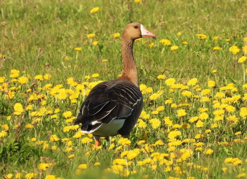 Photograph by Владимир Джерихов