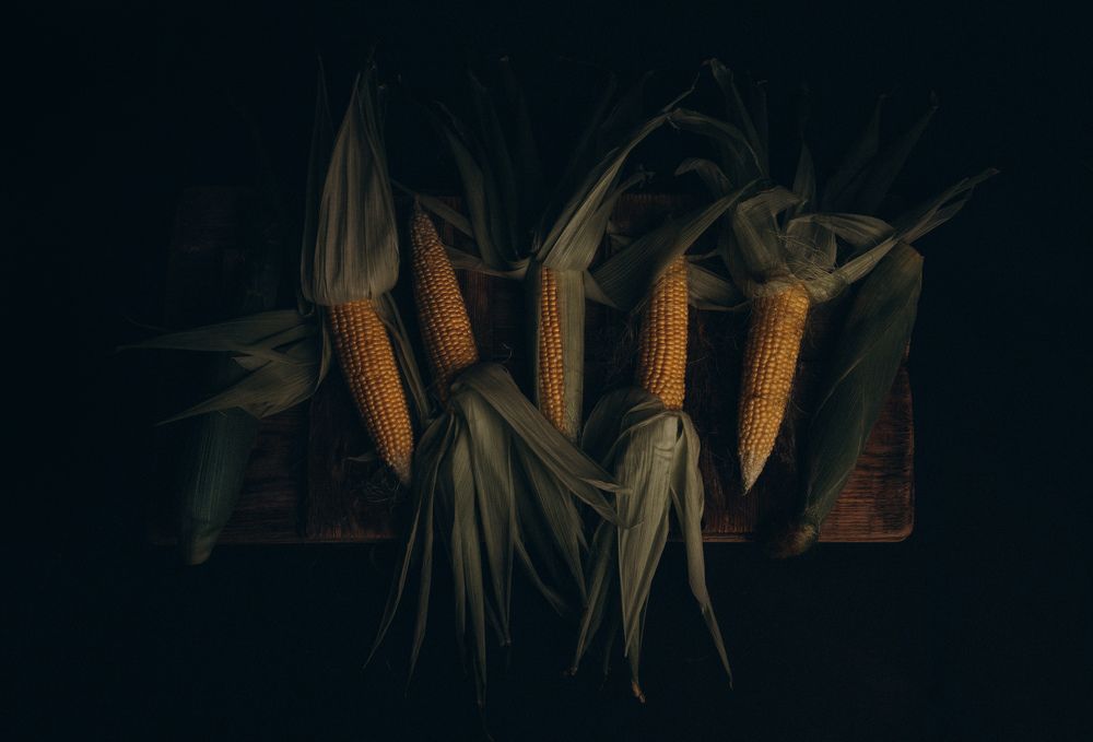 Photograph by Аделина Байбуриева